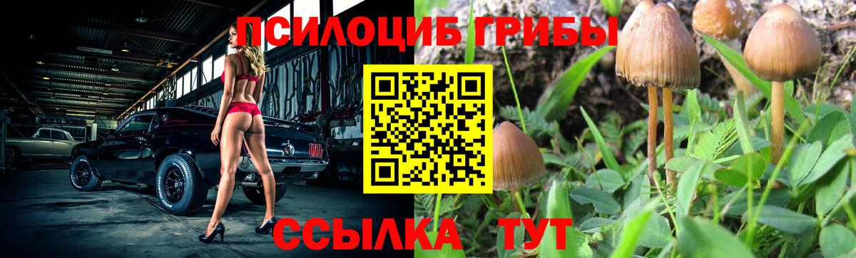 Галлюциногенные грибы мицелий  Вход с VPN  где найти наркотики  Добрянка 
